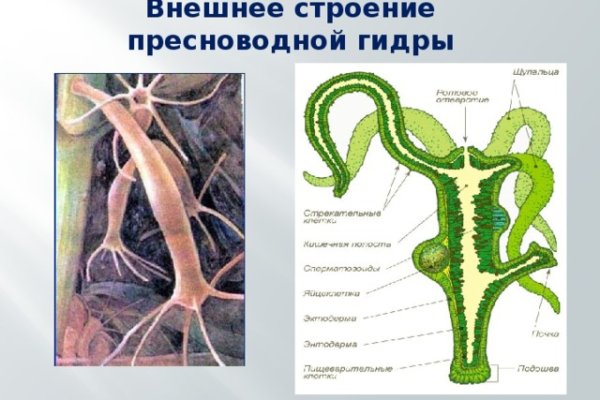 Кракен наркомагазин