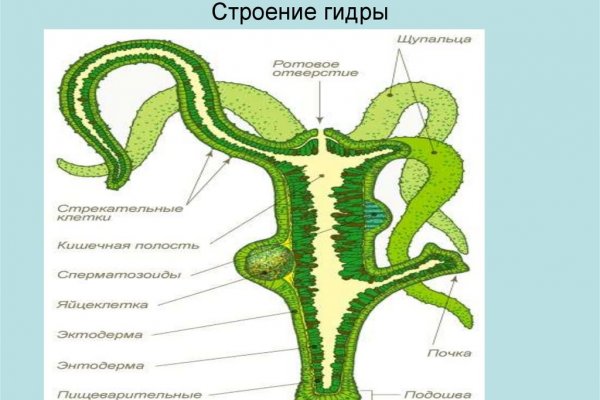 Кракен новый сайт