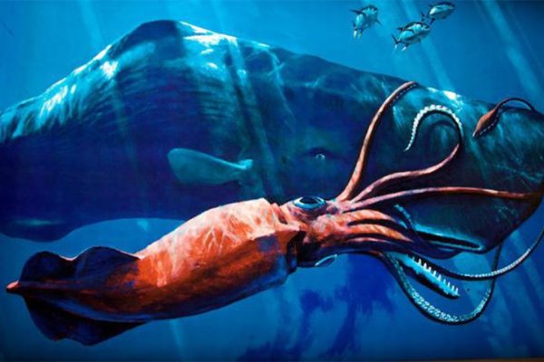 Kraken ссылка зеркало официальный сайт